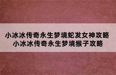 小冰冰传奇永生梦境蛇发女神攻略 小冰冰传奇永生梦境猴子攻略